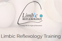 limbic reflexology image